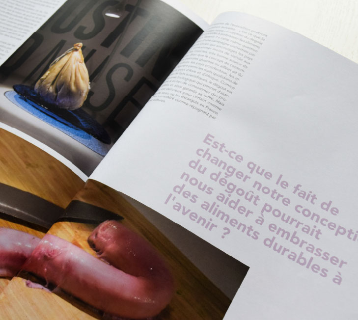 Édition, mise en page, illustration, typographie, Colors Magazine