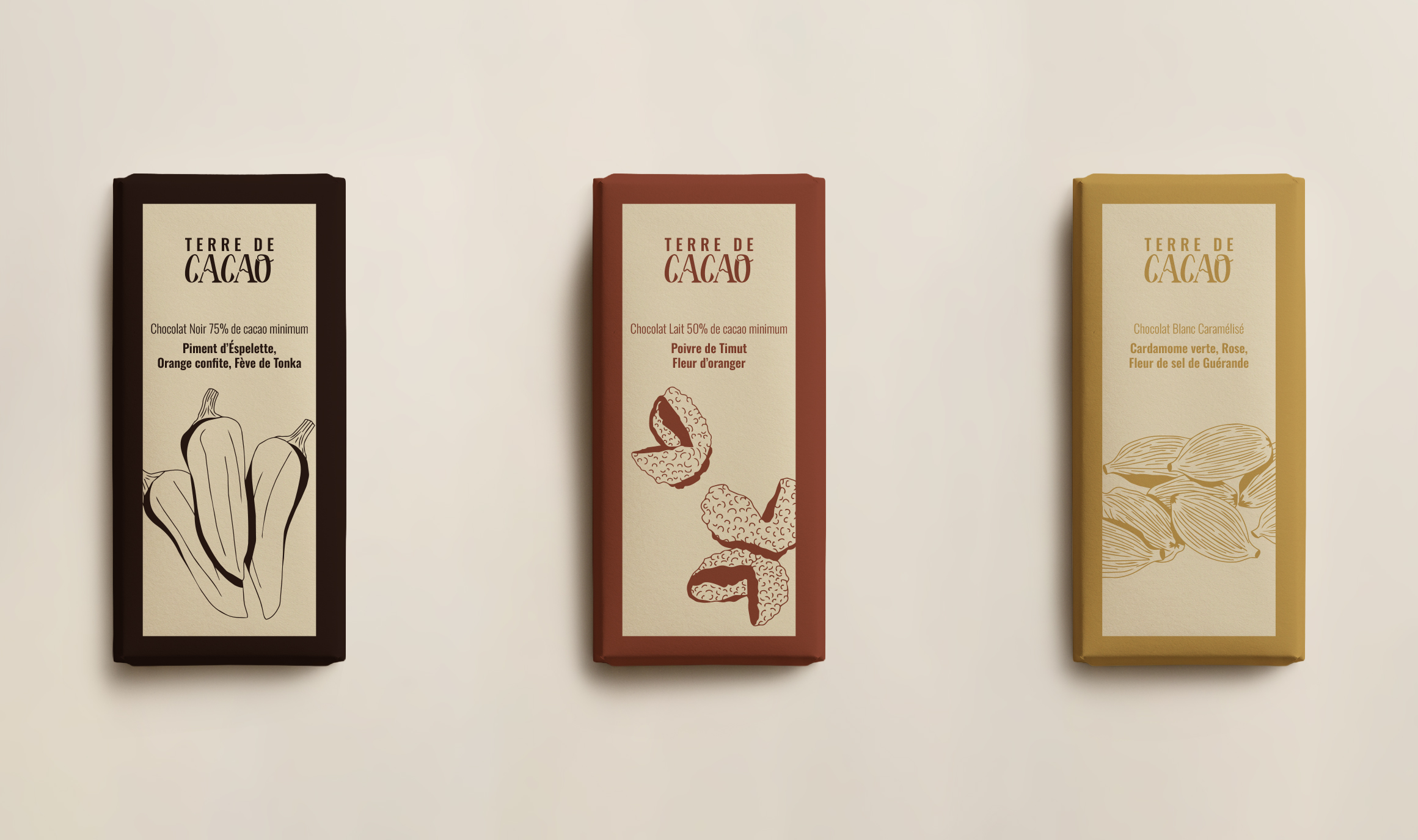 Identité visuelle Packaging Terre de cacao