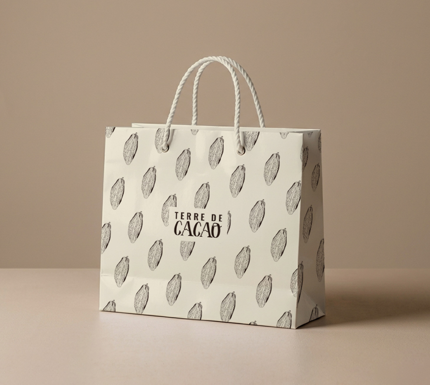 Identité Visuelle Packaging Terre de cacao Sac