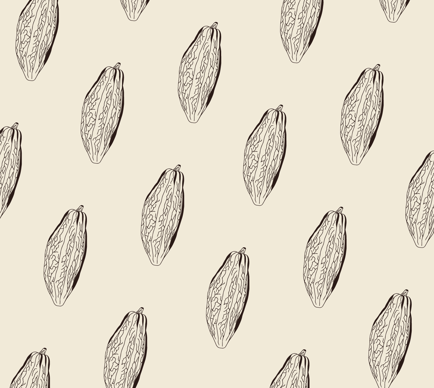 Identité Visuelle Terre de cacao Illustration Motif