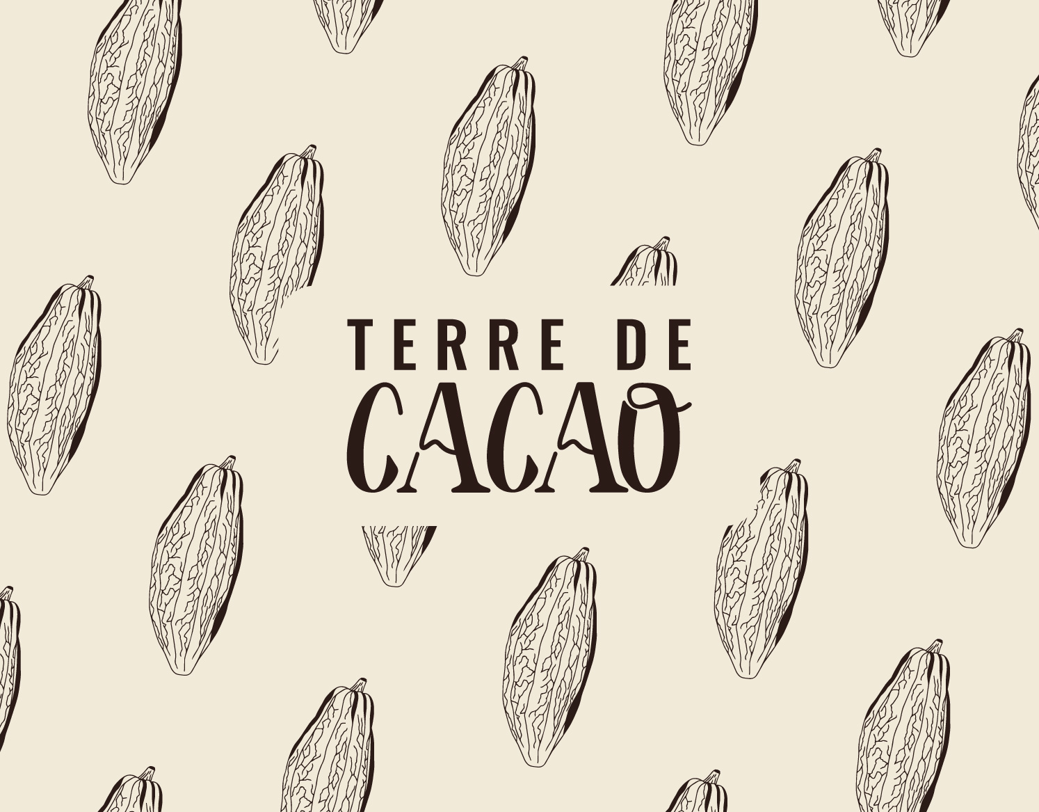 Identité visuelle Packaging Terre de cacao